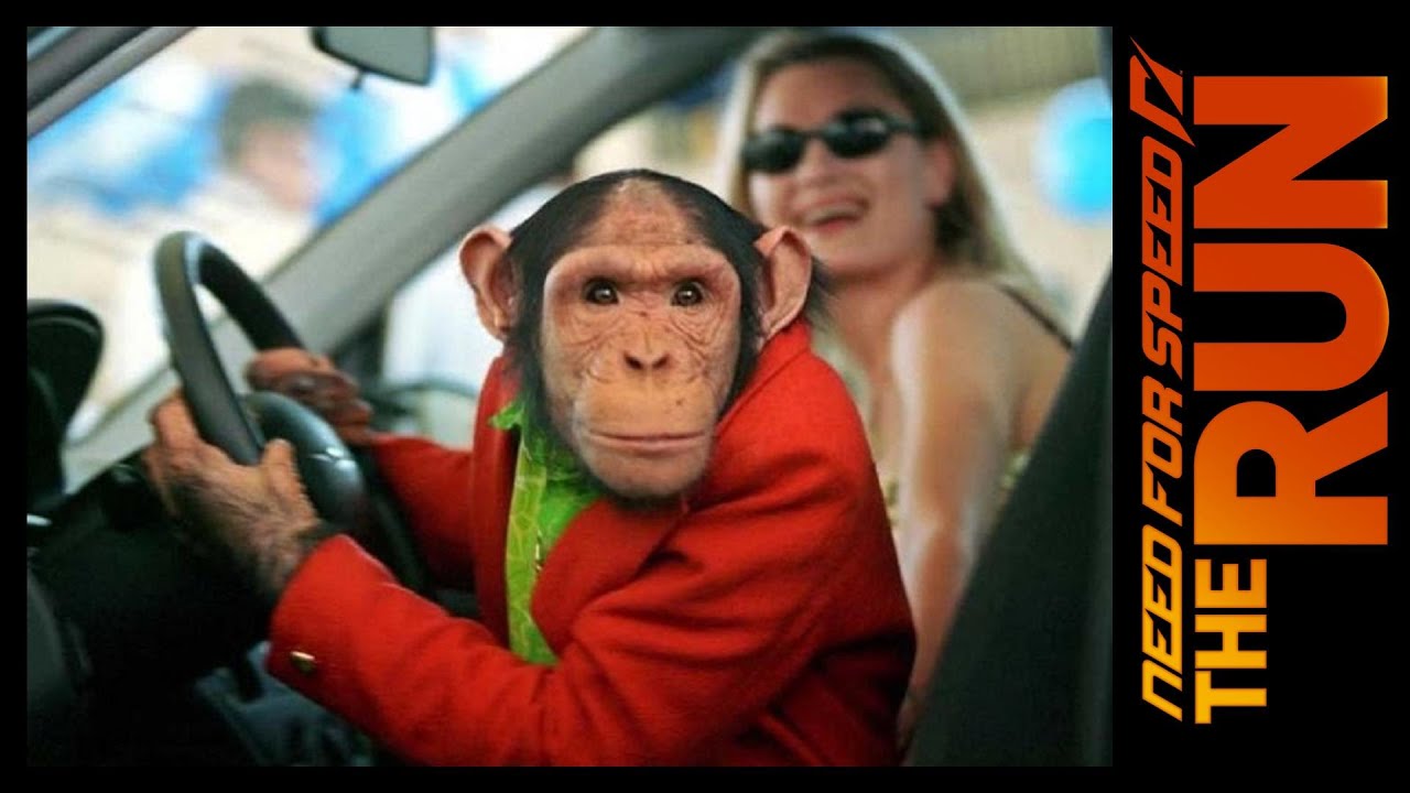 ГОНКИ С рулём Logitech MOMO Racing - NFS The Run - YouTube