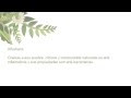 10 plantas medicinales y su uso