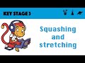 Physics of Forces and Elasticity Quiz