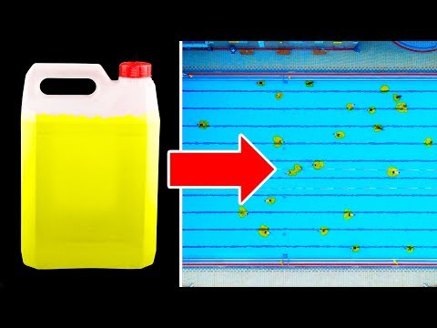 Видео: Что такое вы узнаете тела в воде?