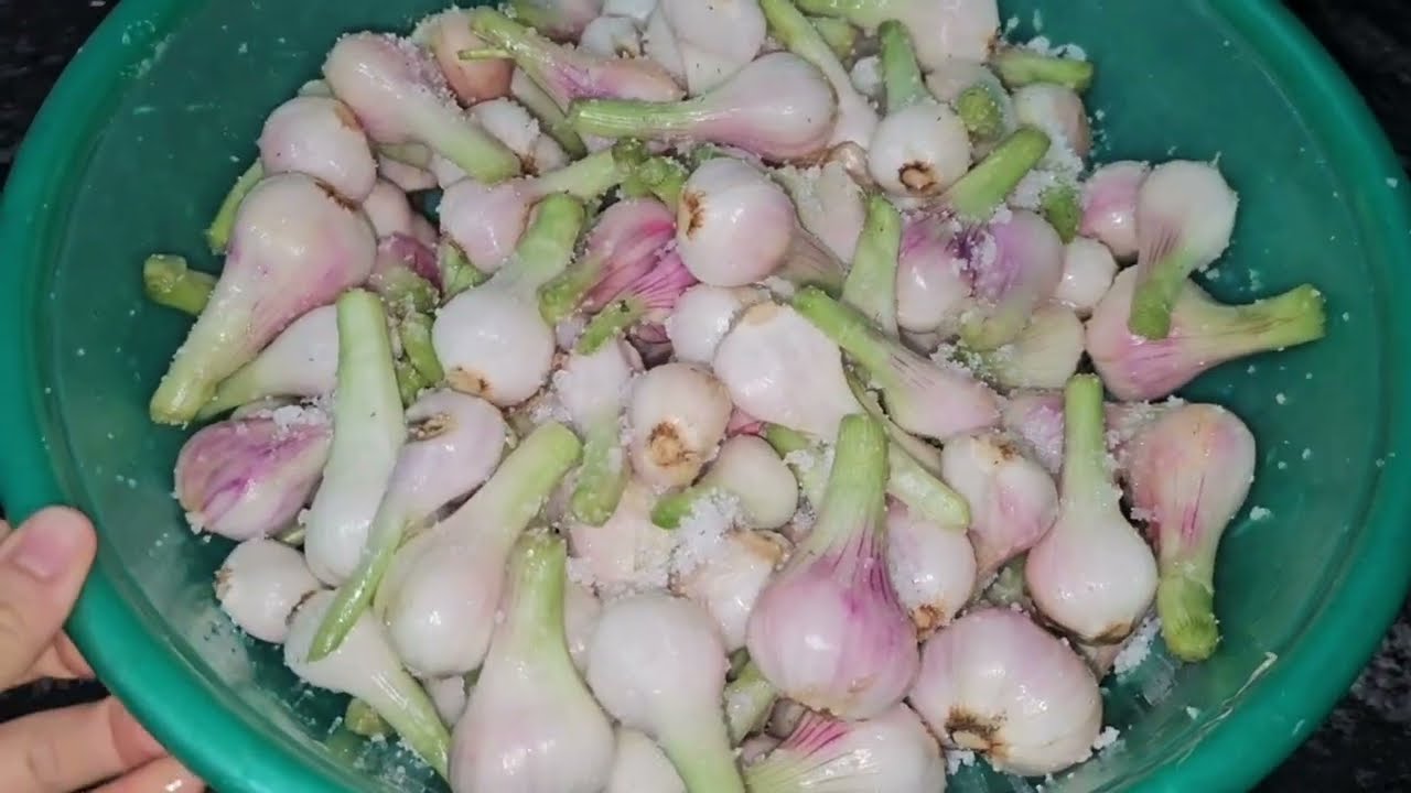 Cách Muối Dưa Hành Giòn Ngon Để Ăn Tết  Cách Làm Đơn Giản Tôi Học Được Từ Mẹ.