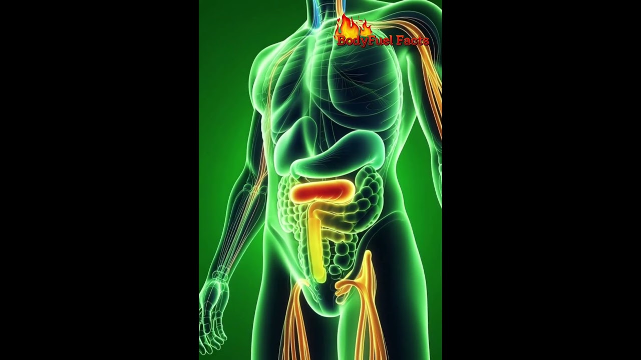 Kiwi inside your body 