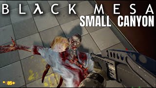 Black Mesa Mod - Small Canyon