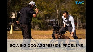 SOLVING DOG AGGRESSION WITH BITE WORK || Live Conversation with 2time World Champion Ivan Balabanov