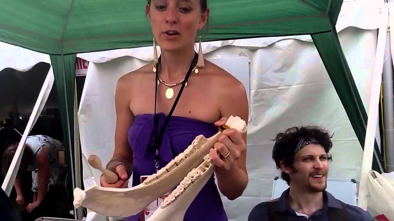Watch Suz from David Wax Museum plays the Donkey Jawbone on YouTube Watch Suz from David Wax Museum plays the Donkey Jawbone on YouTube