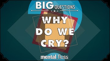 Why do we cry?  - Big Questions - (Ep. 202) | Mental Floss