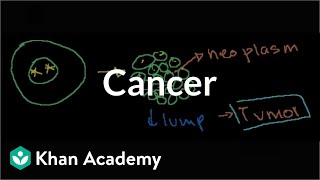 Cancer | Cells | MCAT | Khan Academy