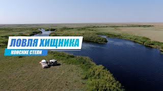 видео: Рыбалка на Хищника в Карагандинской Области. Конские Степи картинка: Рыбалка на Хищника в Карагандинской Области. Конские Степи