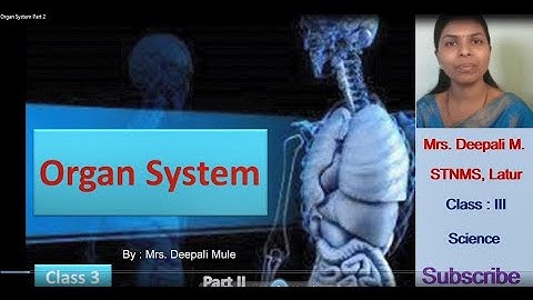 Class III | Organ System Part 2 | Science | By Mrs. Deepali Mule