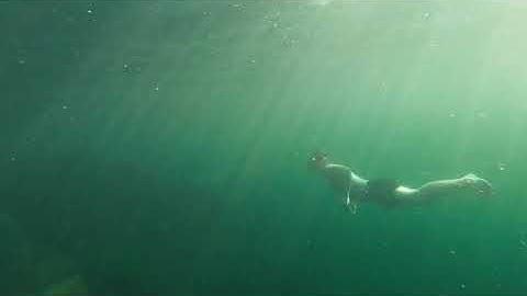 Puget sound free dive