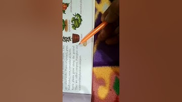 Class 1 EVS Chapter 16 World of Plants