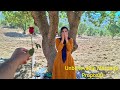 Young Cameraman Proposes to a Homeless Mother and Shocks Her