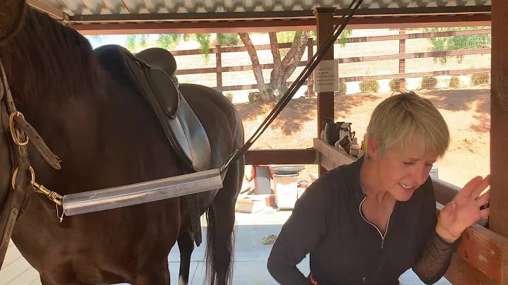 Saddle Fit Lecture with Karen Loshbaugh: Shammy