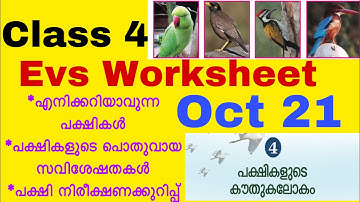 Class 4 Evs Worksheet Oct 21/Kite Victers Std 4 Evs Worsheet 21/10/20/4th std Evs Worksheet 21/10/20