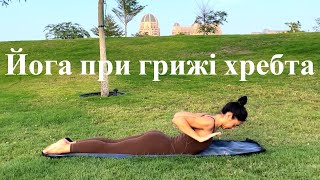 картинка: Йога при міжгребцевій грижі та болі в спині