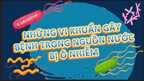 HCDC | Những vi khuẩn gây bệnh trong nguồn nước bị ô nhiễm