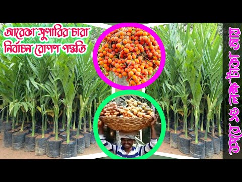 ভিডিও: কেআরএন চাষ: কেআরএন 5.6 এবং 4.2 মডেলের প্রযুক্তিগত বৈশিষ্ট্য। সারি-ফসল এবং আন্ত-সারি মাউন্ট করা চাষীদের বৈশিষ্ট্য