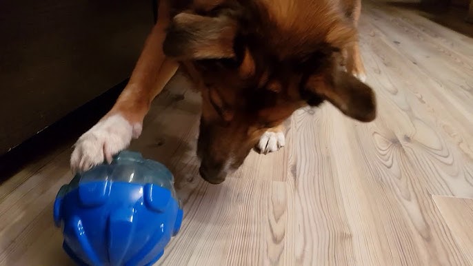 Kong Rewards Wally Treat Dispenser Dog Toy