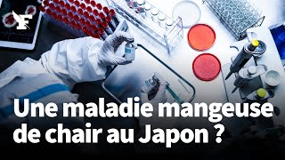 Quelle est cette bactérie «mangeuse de chair» qui inquiète le Japon ?