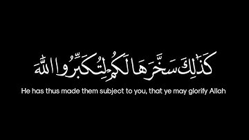 لَن يَنَالَ اللَّهَ لُحُومُهَا وَلَا دِمَاؤُهَا | سورة : الحج | ماهر المعيقلي | كرومات شاشة سوداء.