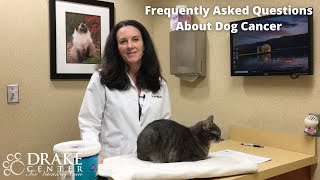 Frequently Asked Questions About Dog Cancer