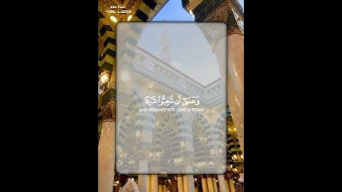 قرآن كريم بصوت القارئ: مشاري العفاسي|| أجمل حالات واتس اب دينيه || تلاوة خاشعة 🌿