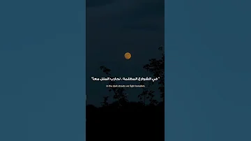 أغنية En Nuit لفرقة Videoclub هي أغنية فرنسية حالمة تنتمي إلى نوع الـ Synth Pop وتحمل أجواء جميله 