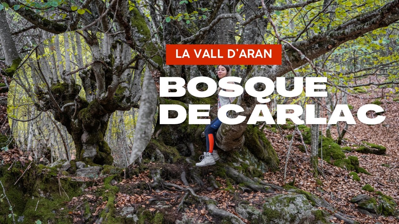 BOSQUE ENCANTADO DE CARLAC LA VALL D’ARAN YouTube