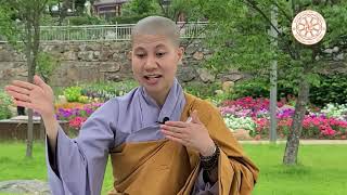 Hướng dẫn tu tập LÒNG TỪ hóa giải SÂN HẬN - SC. Giác Lệ Hiếu