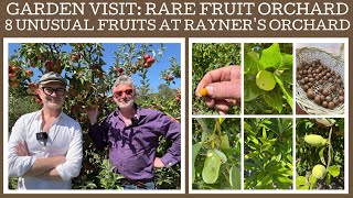 Eight interesting and unusual fruits at Rayner's Orchard! Part 2