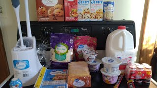 Small Walmart Grocery Haul 🥪🧀🪠 (4/25/24) 🛒🛍️