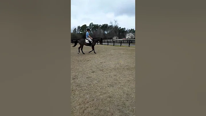 Tully mark lessons(1)