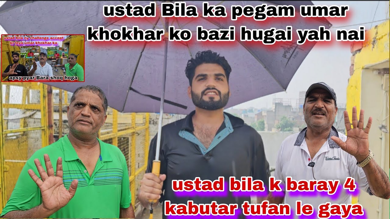 Ustad Bila ny umar khokhar ko pegam deya bazi hugai yaha nai😯4 baray kabutar chaly gaya