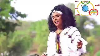 Video thumbnail of "Best Gonder Song | ምርጥ የጎንደር ዘፈን | The Best Ethiopian Traditional Music #GonderMusic #የጎንደርዘፈን"