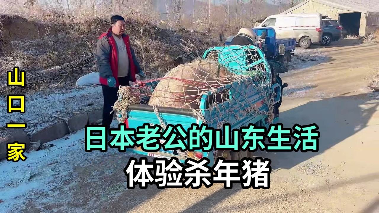 給日本老公一點震撼，山東農村殺年豬，這場面太大了！