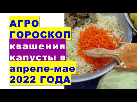 Агрогороскоп квашения капусты в апреле-мае 2022 года