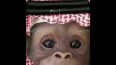 ههههههههههههههههه  عيييييد