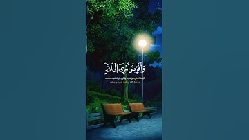 و افوض أمري إلى الله 🌿تلاوة خاشعة 🌿للقارئ سلمان العتيبي 🌿