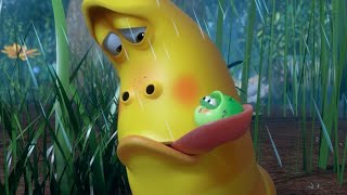 LARVA | Un acaro | Film dei cartoni animati | Cartoni per bambini | WildBrain Videos For Kids LARVA | Un acaro | Film dei cartoni animati | Cartoni per bambini | WildBrain Videos For Kids
