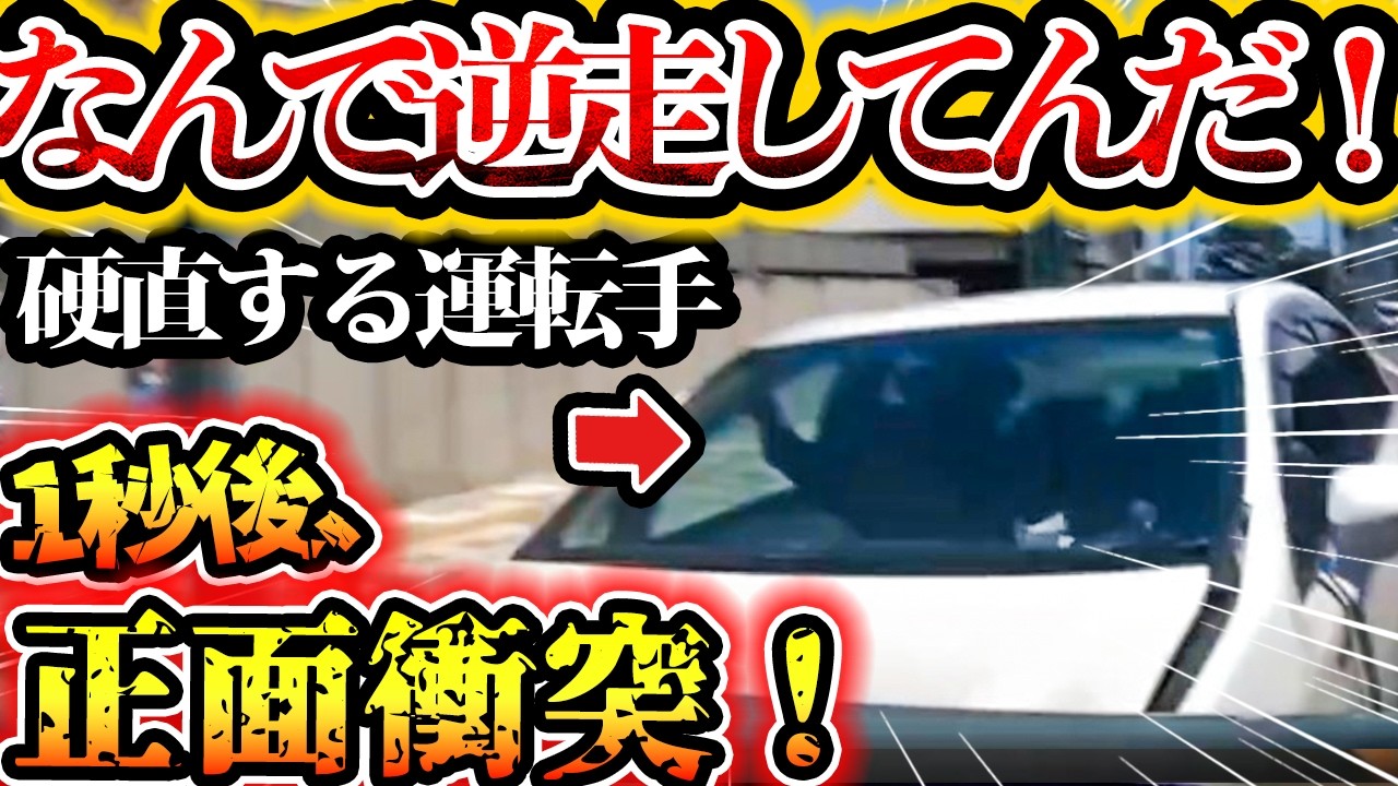 【ドラレコ】もう避けられない！逆走車との悲惨な事故映像…　堂々の信号無視　危険歩行者【交通安全啓発・危険予知トレーニング】