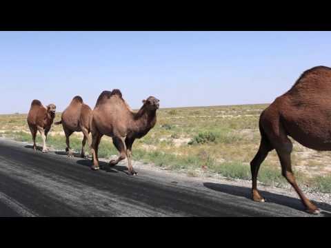 Kazakhstan, the country of the great steppe