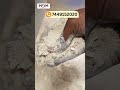 💸 தினமும் income generate பண்ணும் smart machine! - Nice10 pulverizer #shorts #reels