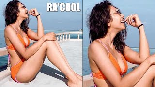 Super Cool Video Rakul Preet Singh Hot Looks In Swimsuit Maldives News Buzz