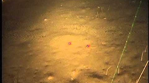 SW109SC_Tape32o.noaudio.mpg