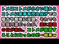【修羅場】トメはコトメが小さい頃からコトメに家事育児丸投げでお稽古や趣味に没頭。それでも家族円満だったが、遂に崩壊の日が来た。コトメが結婚することになったのだ→結果ｗ【スカッと実話ジャパン】
