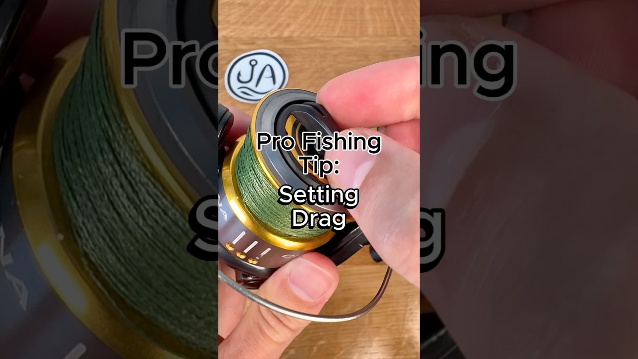 custom nautilus fly reels GTX - Color - Series Reel Lb Test:40 Lb. Test 10/12 and Silver King Terminal Hooks Abu Garcia Ambassadeur 6500CS