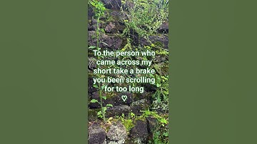 stop scrolling and take a brake #nature #relax #peace #peaceful #calm #doomscrolling #takeabreak