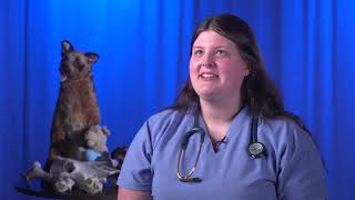 Spotlight on Veterinary Science