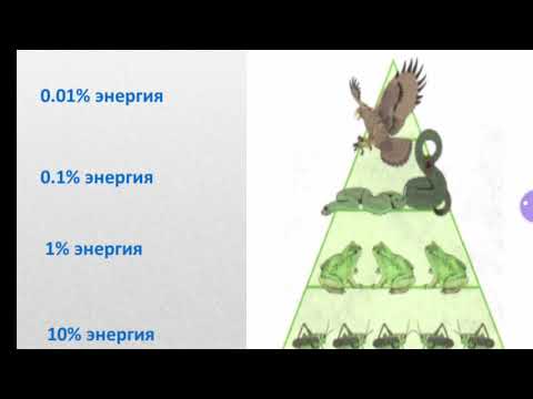 Бейне: Көзбен пирамиданың белгісі нені білдіреді?