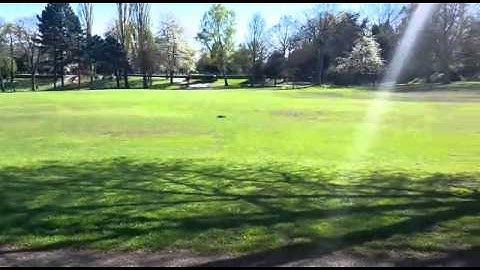 Ansmann Virus 21 engine - TUNED MUST SEE